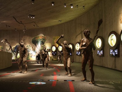 Muzej krapinskih neandertalaca, arhiva: MHZ - MKN